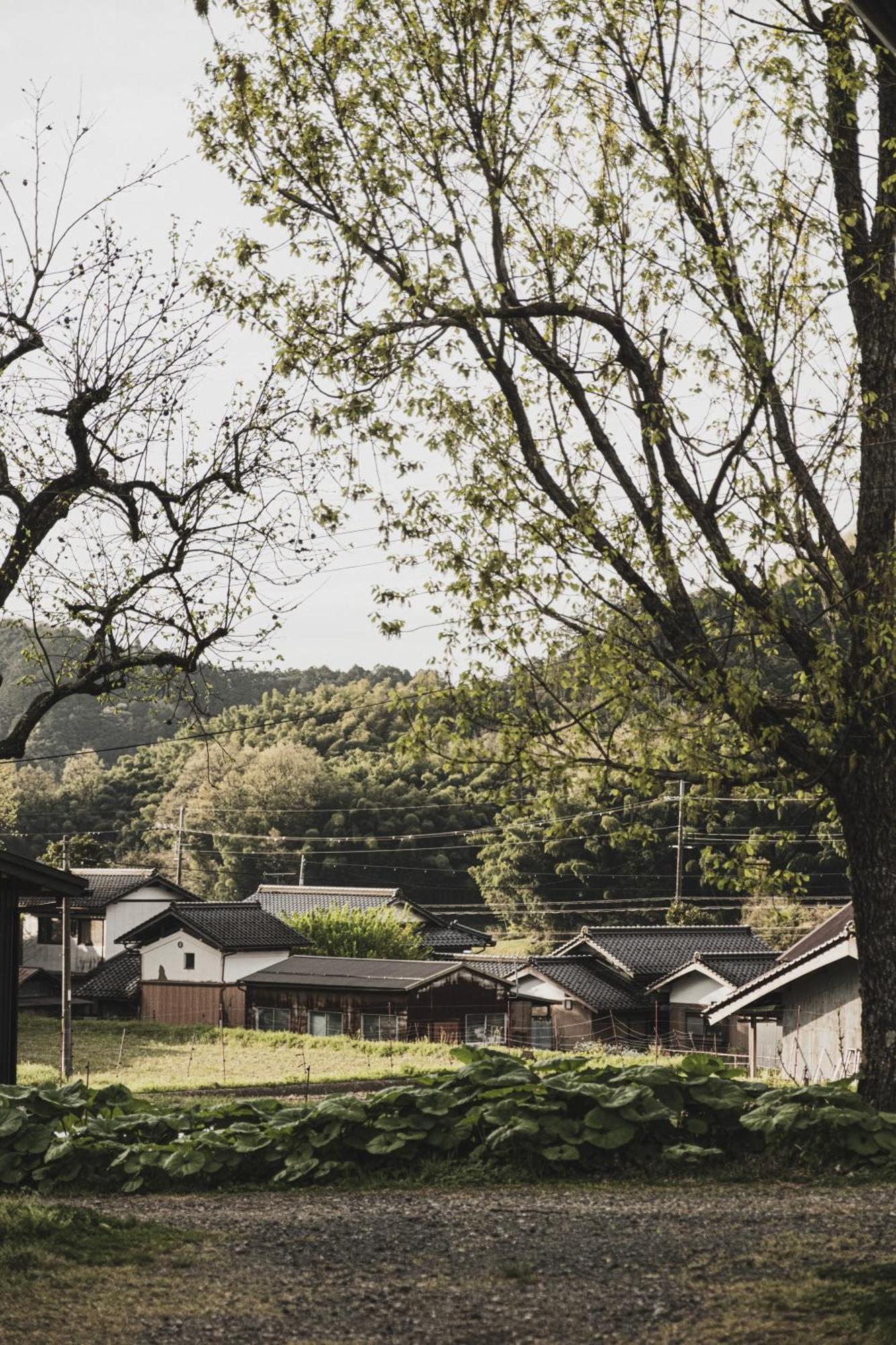 一汁一菜の宿　ちゃぶダイニング Ichiju Issai No Yado Chabu Dining Unforgettable Farmstay Experience In Deep Kyoto Ayabe Zewnętrze zdjęcie